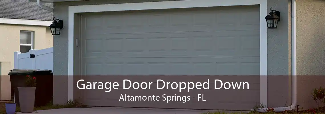 Garage Door Dropped Down Altamonte Springs - FL