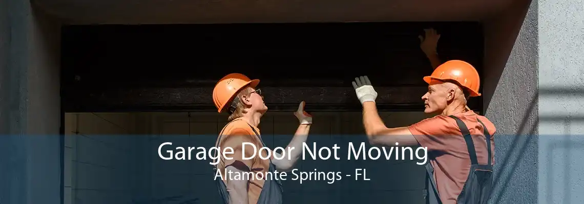 Garage Door Not Moving Altamonte Springs - FL