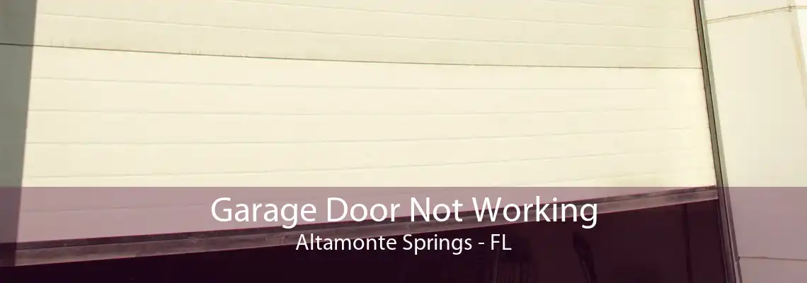 Garage Door Not Working Altamonte Springs - FL