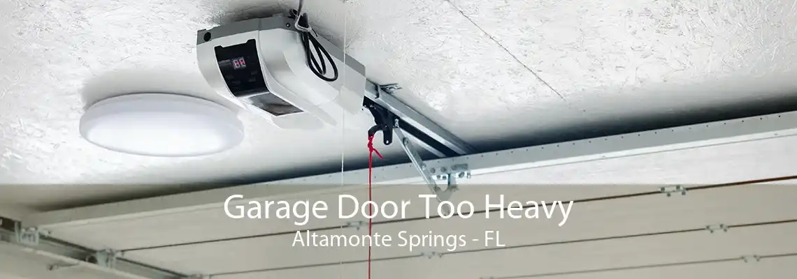 Garage Door Too Heavy Altamonte Springs - FL